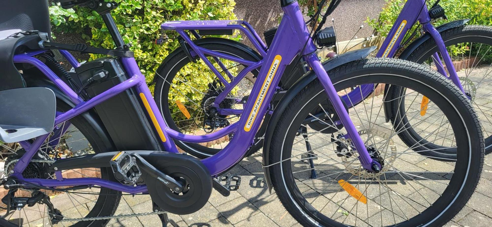 Zwei Schlafzimmer Ferienapartment Anna Am Stubenbergsee Inklusive Vier E-Bikes Extérieur photo